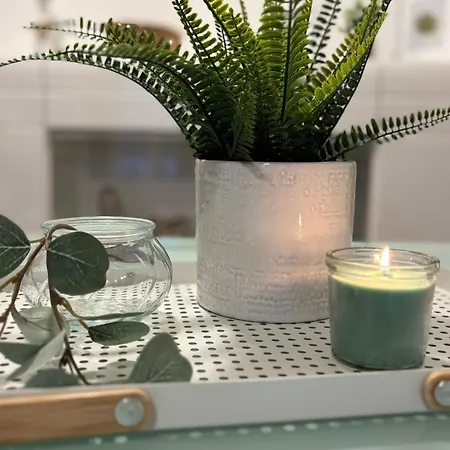 Boardinghouse Im Zentrum Der Stadt * Plauen