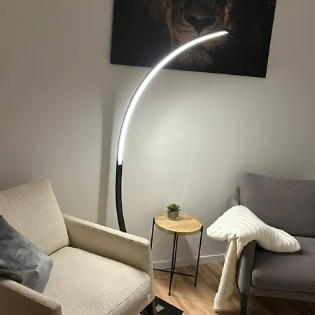 Boardinghouse Im Zentrum Der Stadt * Plauen