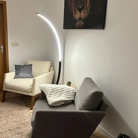 Boardinghouse Im Zentrum Der Stadt * Plauen